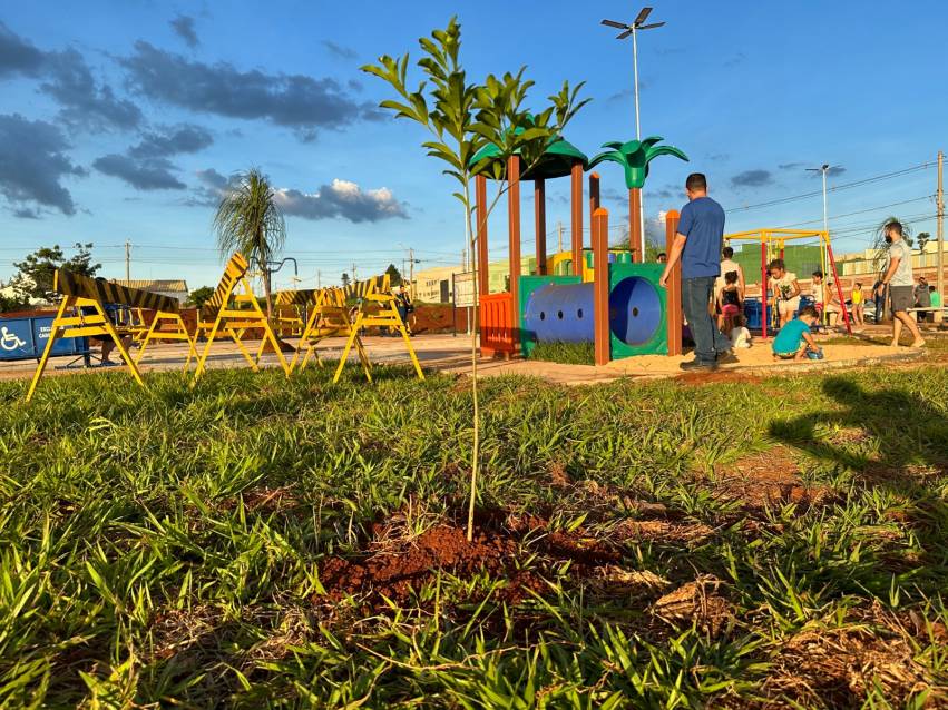 PREFEITURA REALIZA PLANTIO DE ÁRVORES NO JARDIM BELA VISTA