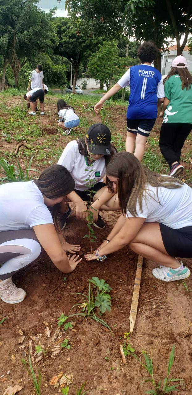 MUDAS DE ÁRVORES NATIVAS SÃO PLANTADAS À MARGEM DO RIO JAÚ