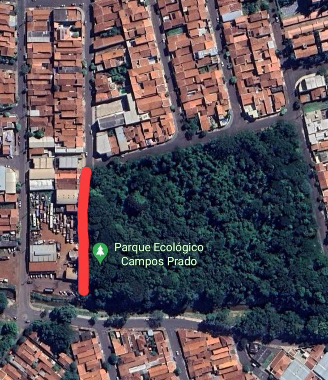 RUA JOSÉ MANOEL CASEIRO - TRECHO INTERDITADO PARA CORTE DE ÁRVORES