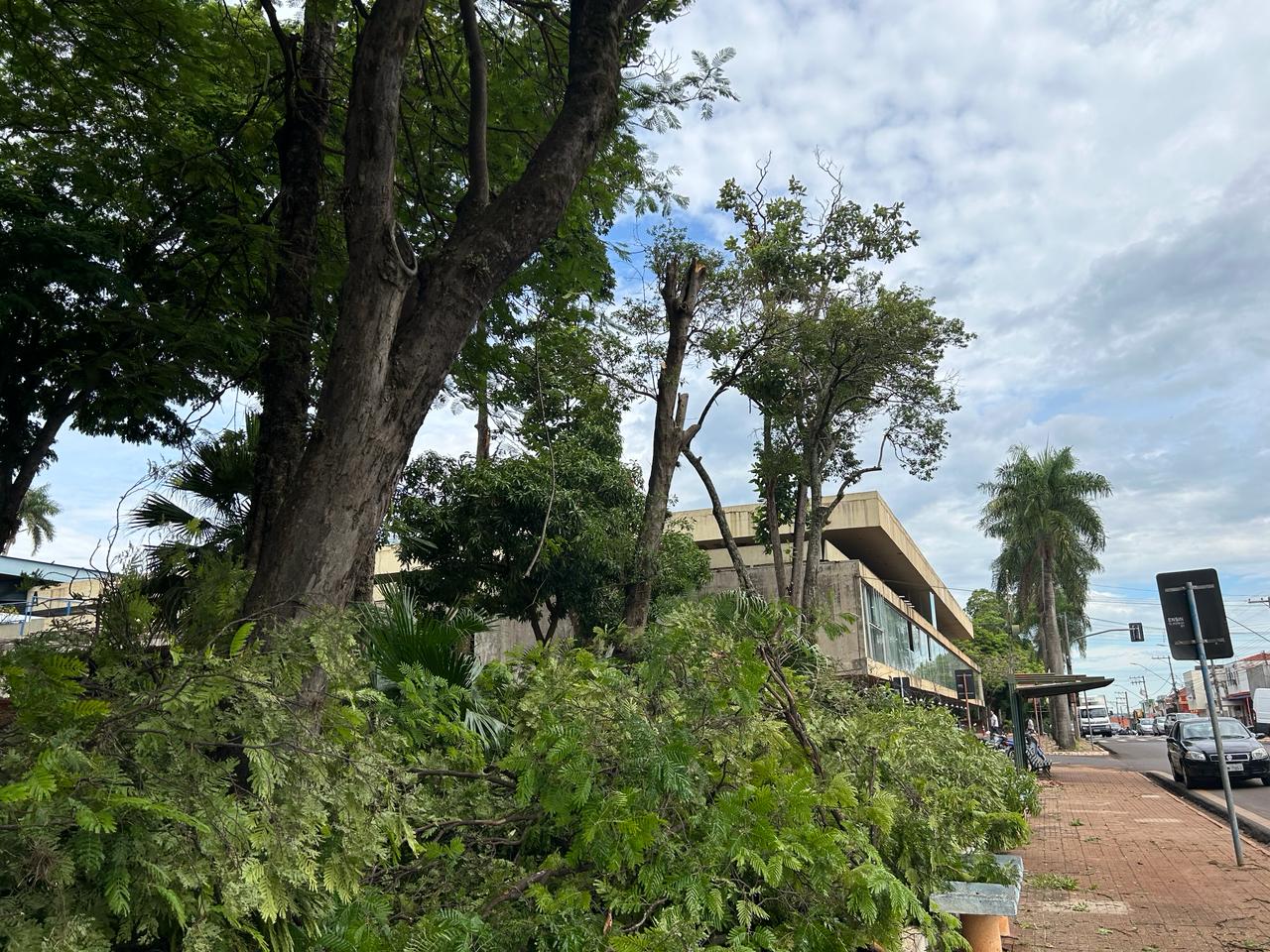 NOTA - ENXAME DE ABELHAS NA PRAÇA DA RODOVIÁRIA: PEDESTRES DEVEM EVITAR O LOCAL