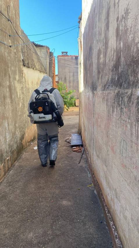 COMBATE À DENGUE - TRABALHO SEM TRÉGUA