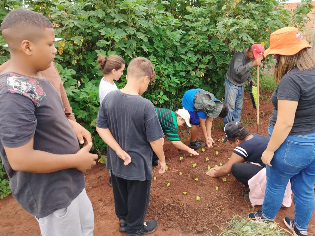 CRIANÇAS E ADOLESCENTES APRENDEM COMO CRIAR HORTA