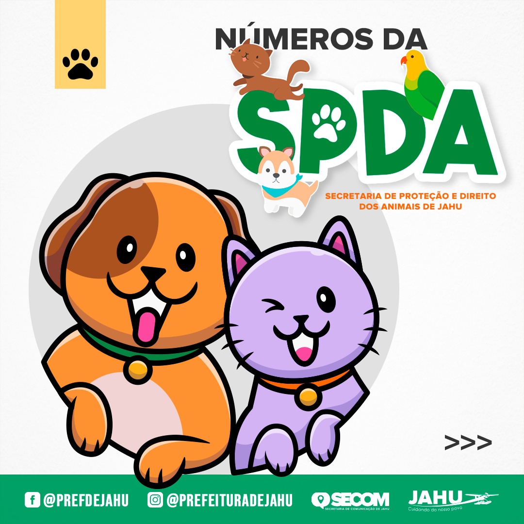 NÚMERO ALTO DE FALTAS EM CASTRAÇÕES PREJUDICAM ANIMAIS E TUTORES