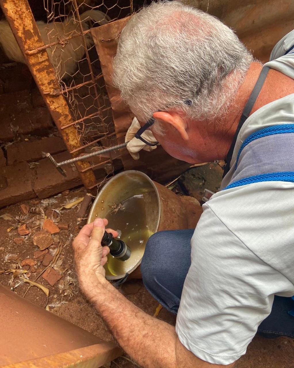 COMBATE À DENGUE - AÇÕES EM PONTOS ESTRATÉGICOS