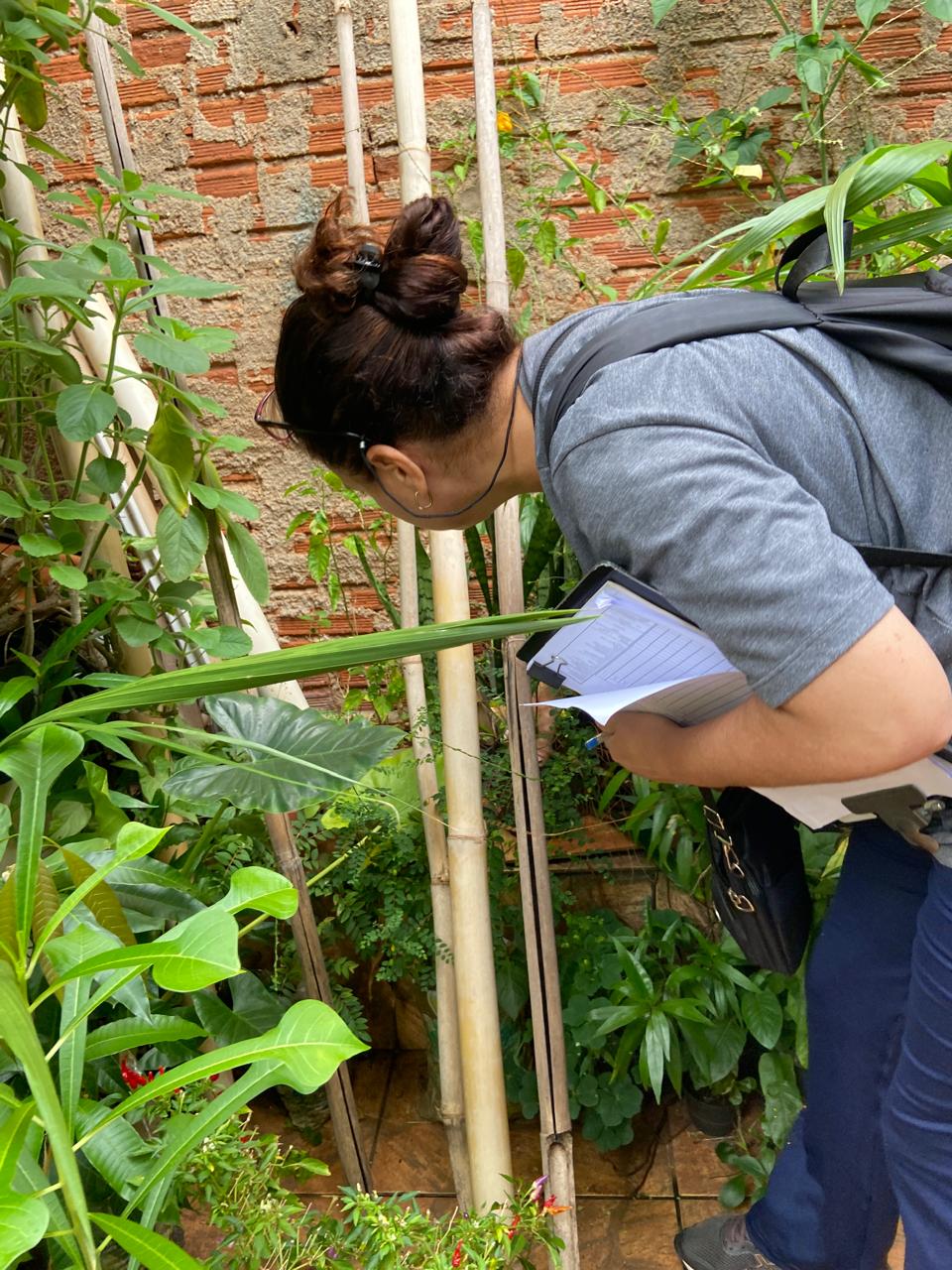 COMBATE À DENGUE - BAIRRO SANTO ANTONIO