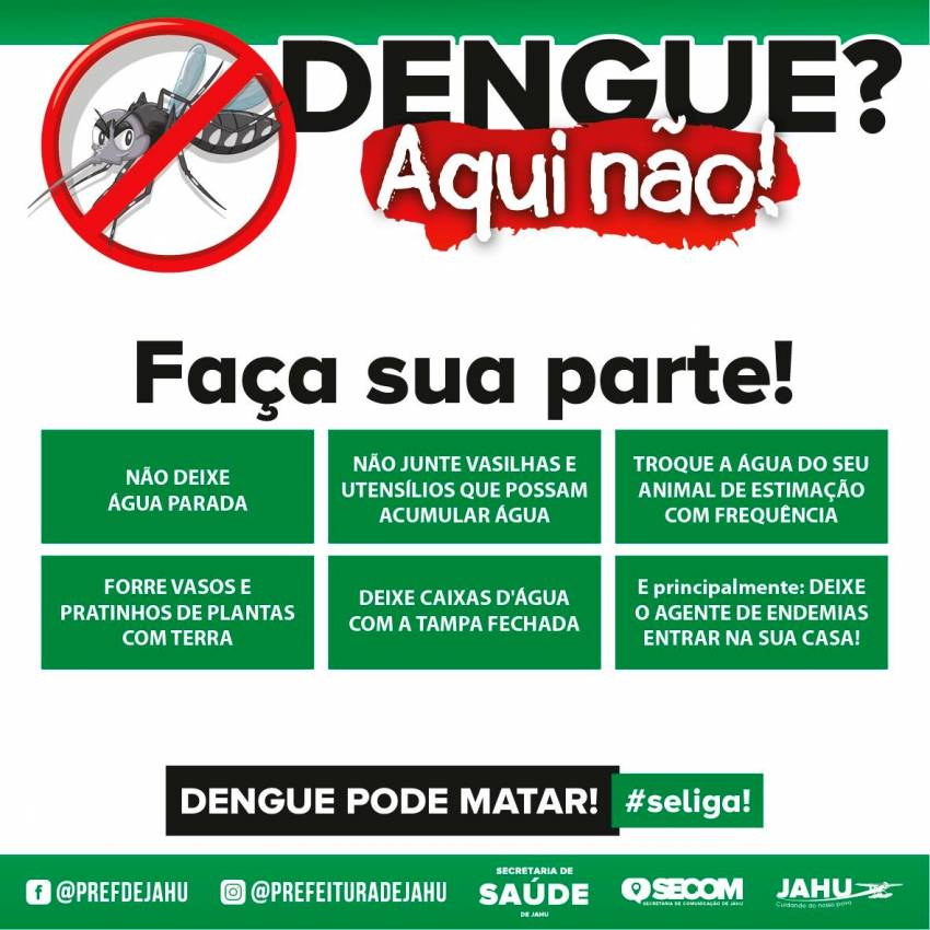 A LUTA CONTRA A DENGUE É DIÁRIA