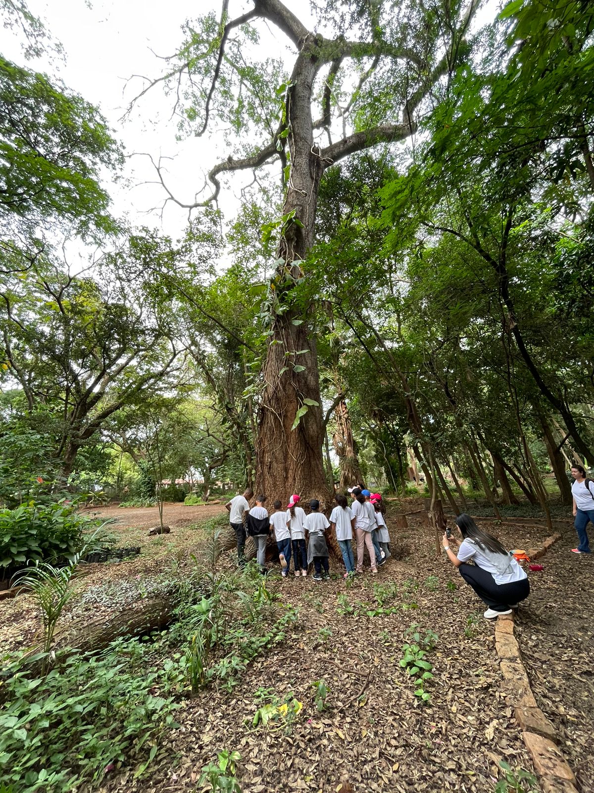 CRIANÇAS APRENDEM COM ATRATIVOS DO HORTO