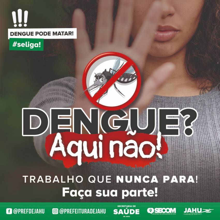 O COMBATE À DENGUE NÃO PODE PARAR