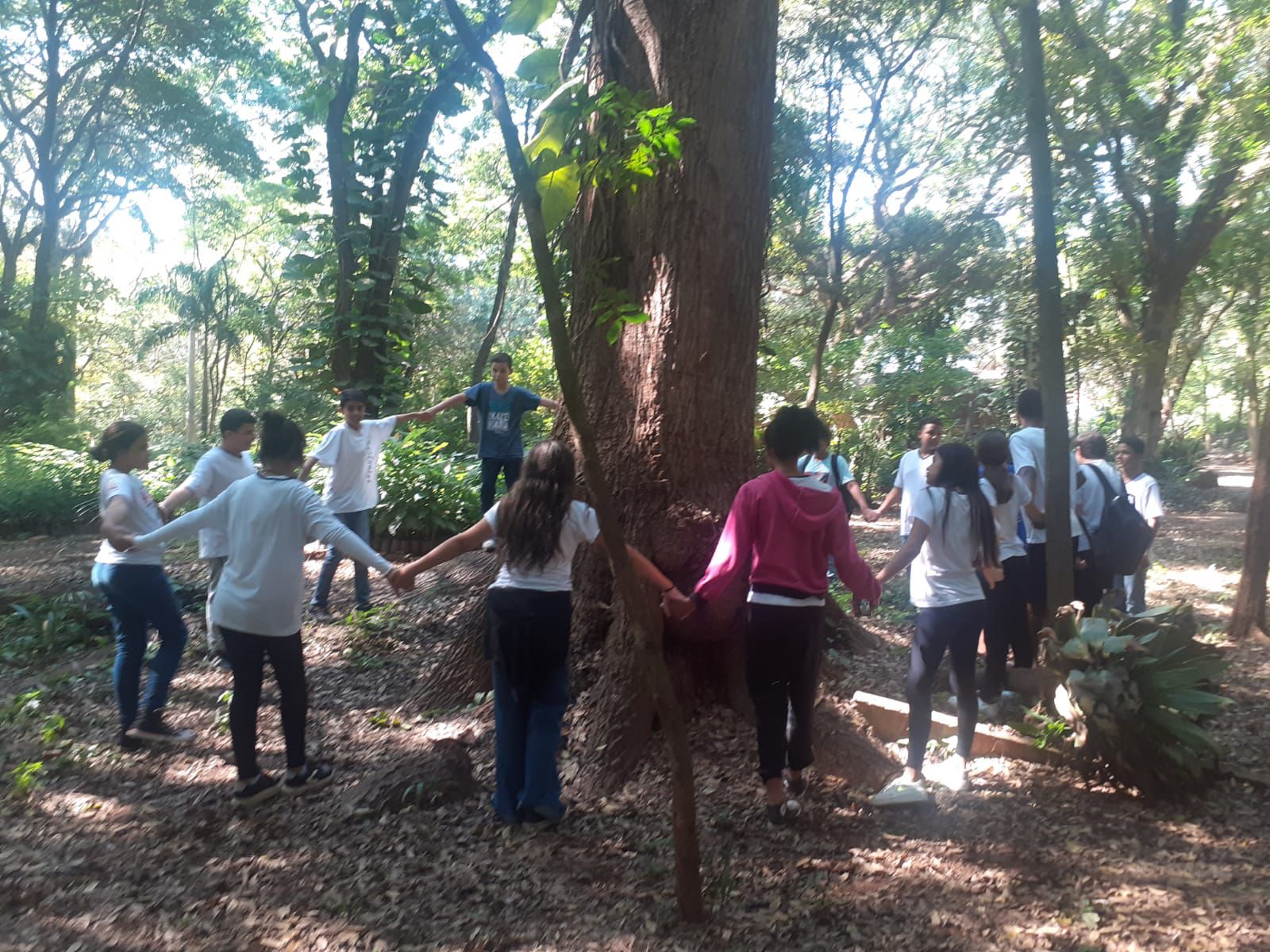 ESTUDANTES DA ESCOLA DR. DOMINGOS DE MAGALHÃES APRENDEM NO HORTO