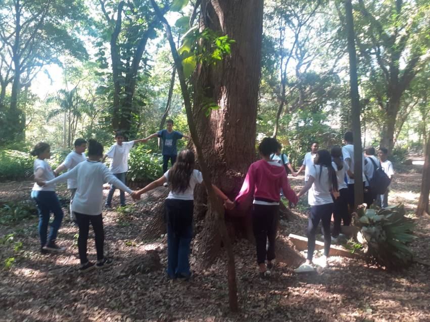 ESTUDANTES DA ESCOLA DR. DOMINGOS DE MAGALHÃES APRENDEM NO HORTO