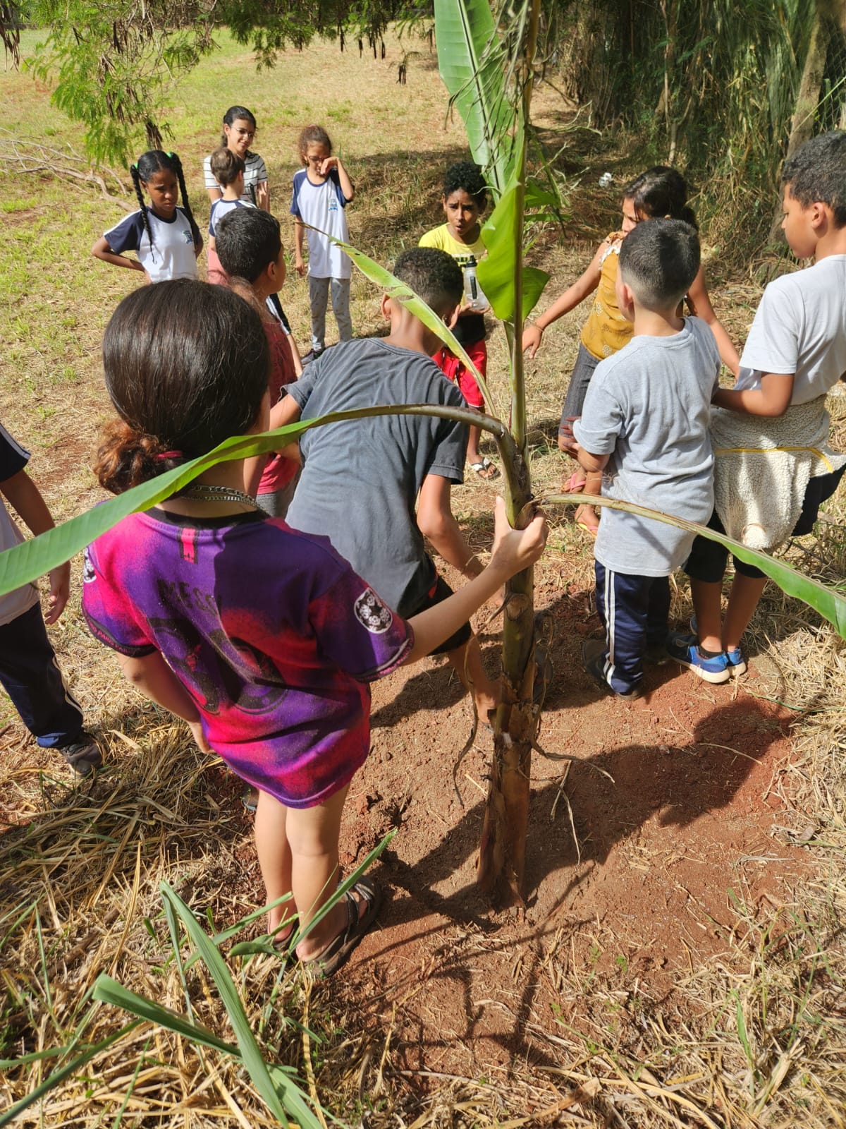 ALUNOS DA EMEF PROF. ANTÔNIO WALDOMIRO DE OLIVEIRA REALIZAM ATIVIDADE PRÁTICA