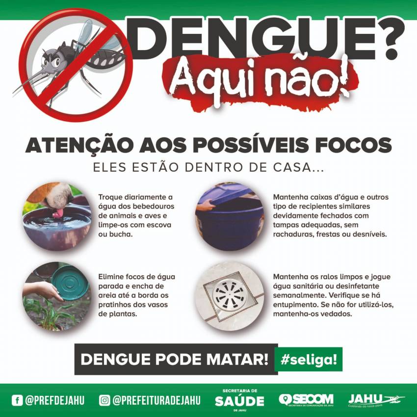 DENGUE - O PERIGO PODE ESTAR EM CASA