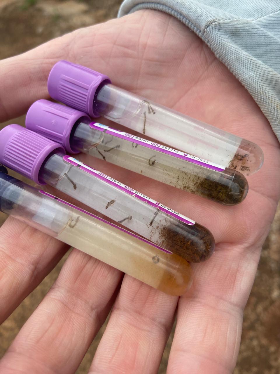 DENGUE - AÇÃO IDENTIFICA LOCAIS COM LARVAS DO AEDES AEGYPTI