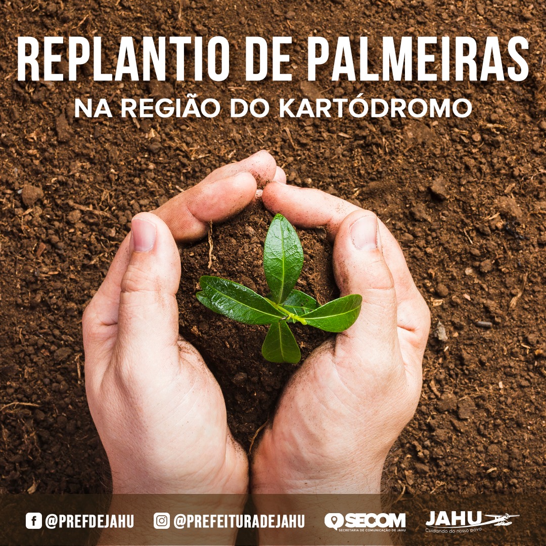 PREFEITURA PROMOVE O REPLANTIO DE DUAS PALMEIRAS NA REGIÃO DO KARTÓDROMO