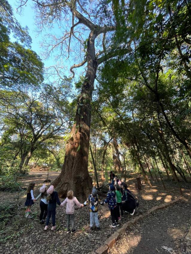 CRIANÇAS DO PORTO ALVORADA APRENDEM NO HORTO MUNICIPAL