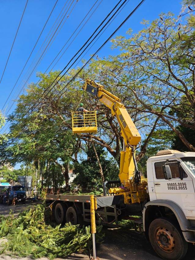 MEIO AMBIENTE - PODA DE LEVANTAMENTO E LIMPEZA PROMOVE SEGURANÇA