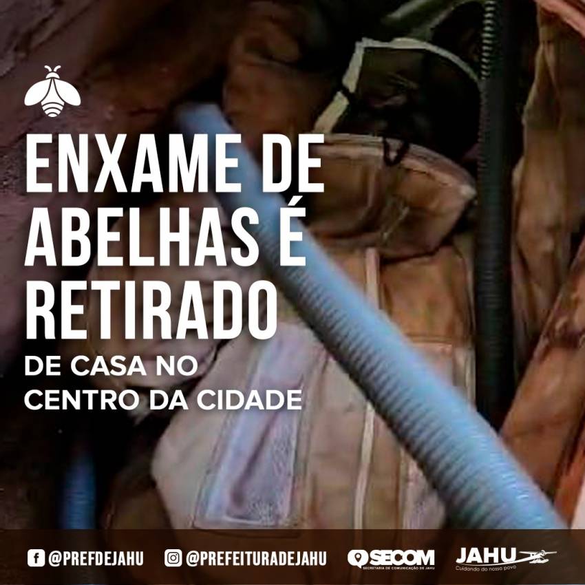 ENXAME DE ABELHAS É RETIRADO DE CASA NO CENTRO DA CIDADE