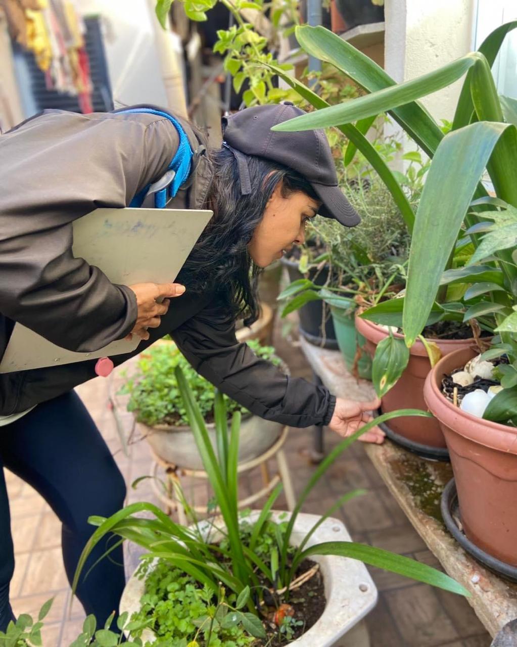COMBATE À DENGUE - CONTROLE DE CRIADOUROS NO JARDIM OLARIA EM POTUNDUVA