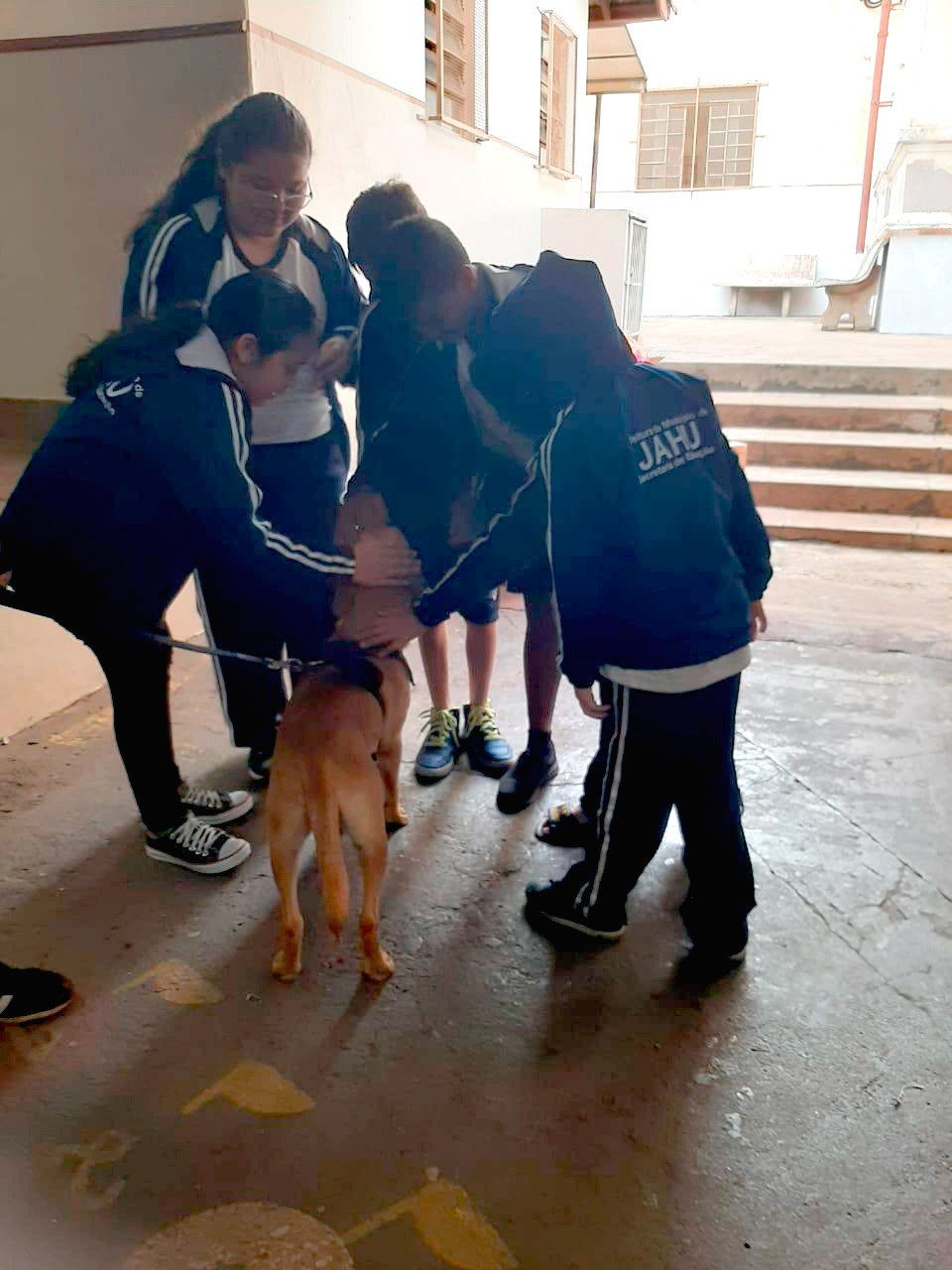 MAUS-TRATOS A ANIMAIS ENTRA EM PAUTA NA EMEF DR. PÁDUA SALLES
