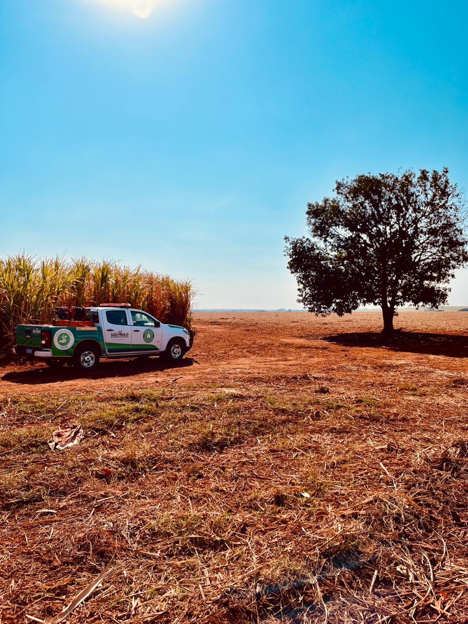 ÁREAS RURAIS VISTORIADAS PARA IDENTIFICAÇÃO DE POTENCIAL RISCO DE INCÊNDIO