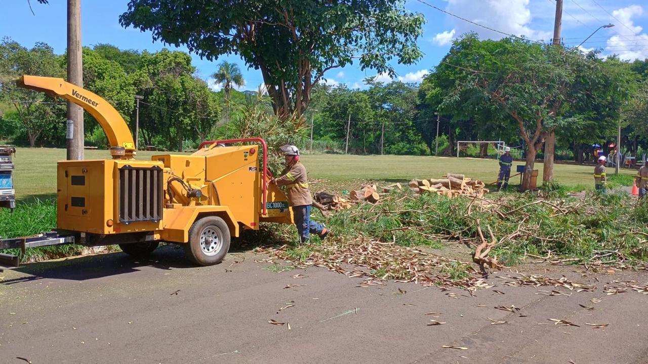 ADEQUANDO ARBORIZAÇÃO URBANA: ÁRVORES COM RISCO À FIAÇÃO ELÉTRICA SÃO CORTADAS