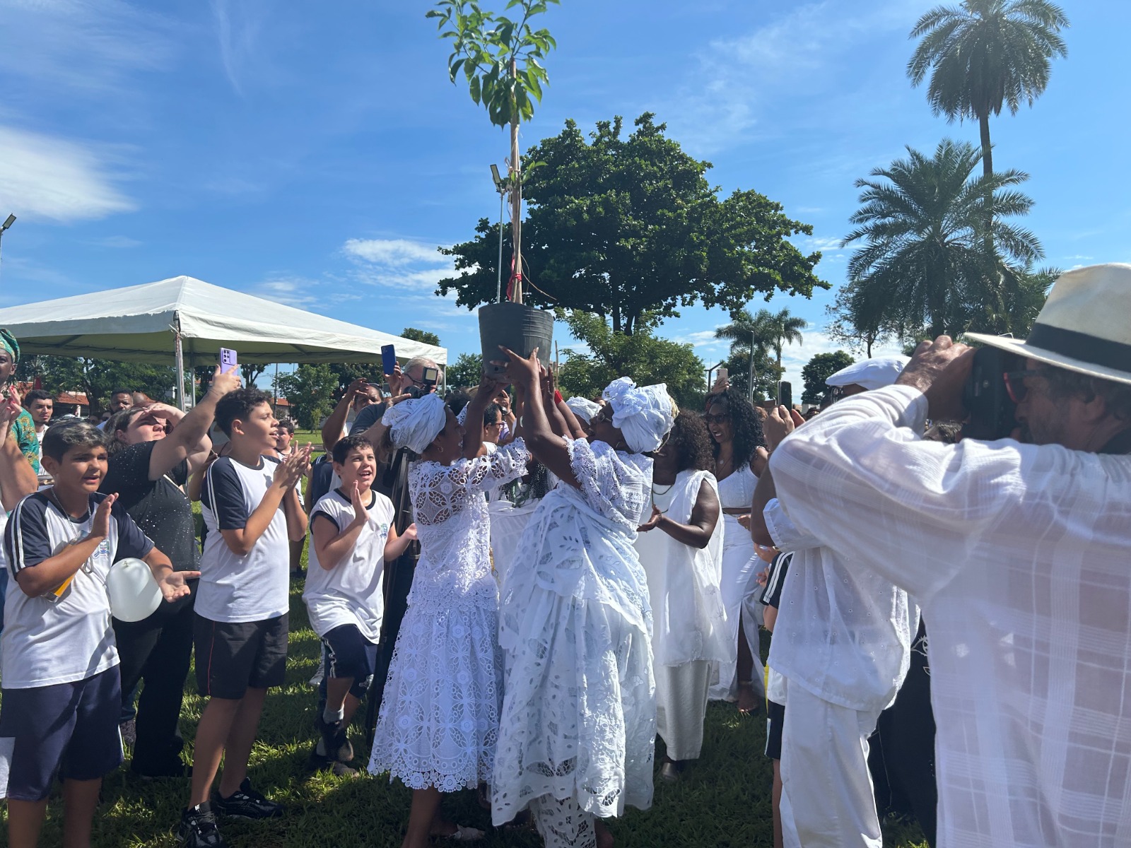 BAOBÁ: MUDA DA ÁRVORE SÍMBOLO DA CULTURA AFRICANA É PLANTADA EM JAHU