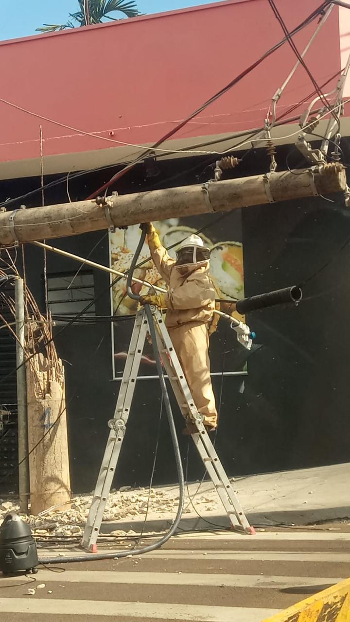 ABELHAS SÃO REMOVIDAS DE POSTE APÓS ACIDENTE