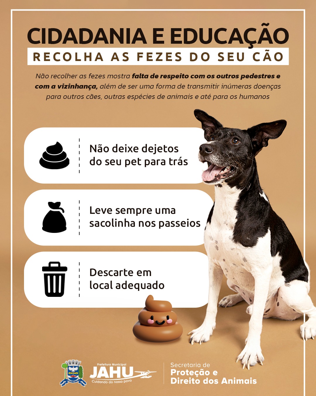 CIDADANIA E EDUCAÇÃO: RECOLHA AS FEZES DO SEU CÃO!