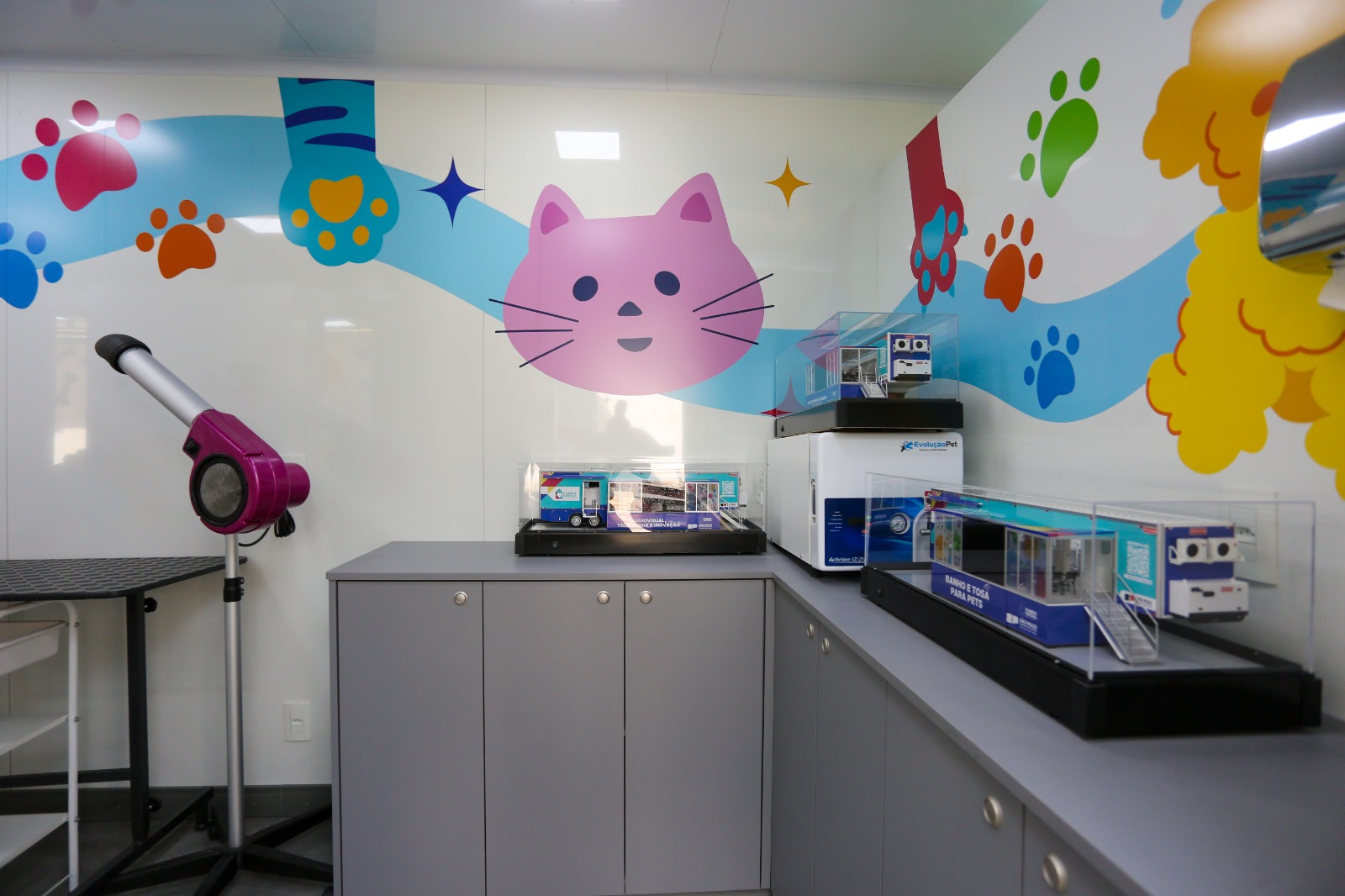 PREFEITURA E ESTADO OFERECEM CURSOS GRATUITOS DE AUXILIAR DE COZINHA, APROVEITAMENTO DE ALIMENTOS E BANHO E TOSA