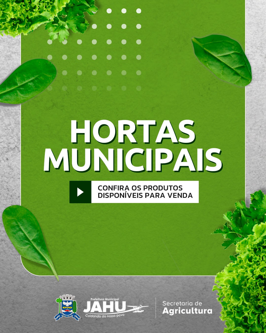 HORTAS MUNICIPAIS: VENDA DE PRODUTOS NESTA QUINTA (24/07)