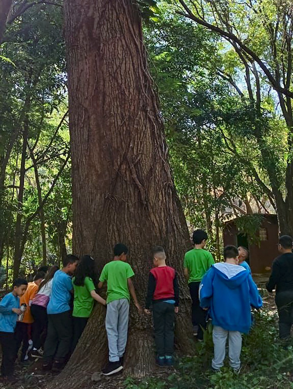CASA DA CRIANÇA VISITA O HORTO MUNICIPAL