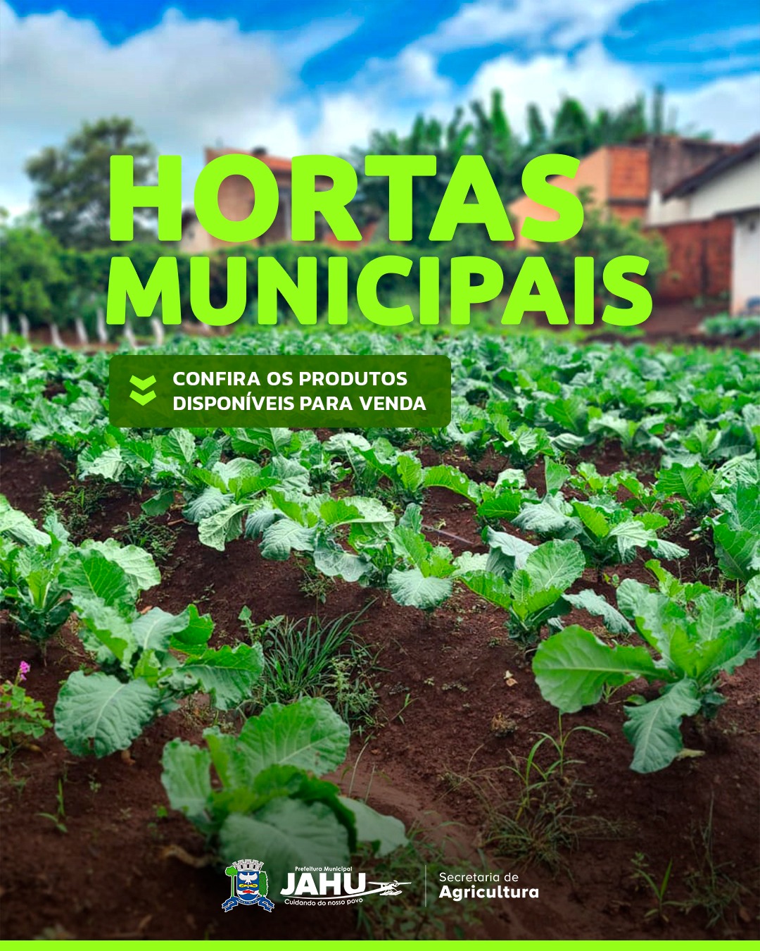 HORTAS MUNICIPAIS: VENDA DE PRODUTOS NESTA TERÇA (19/08)