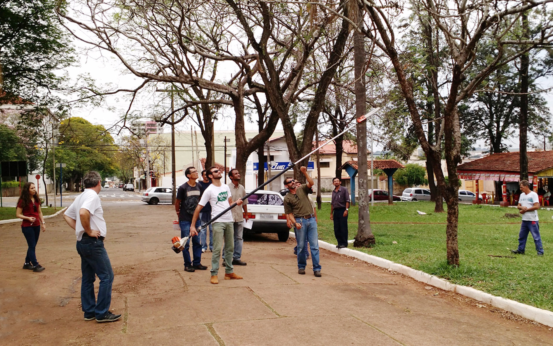 Curso de Formação de Podadores da Secretaria de Meio Ambiente oferece 40 vagas gratuitas