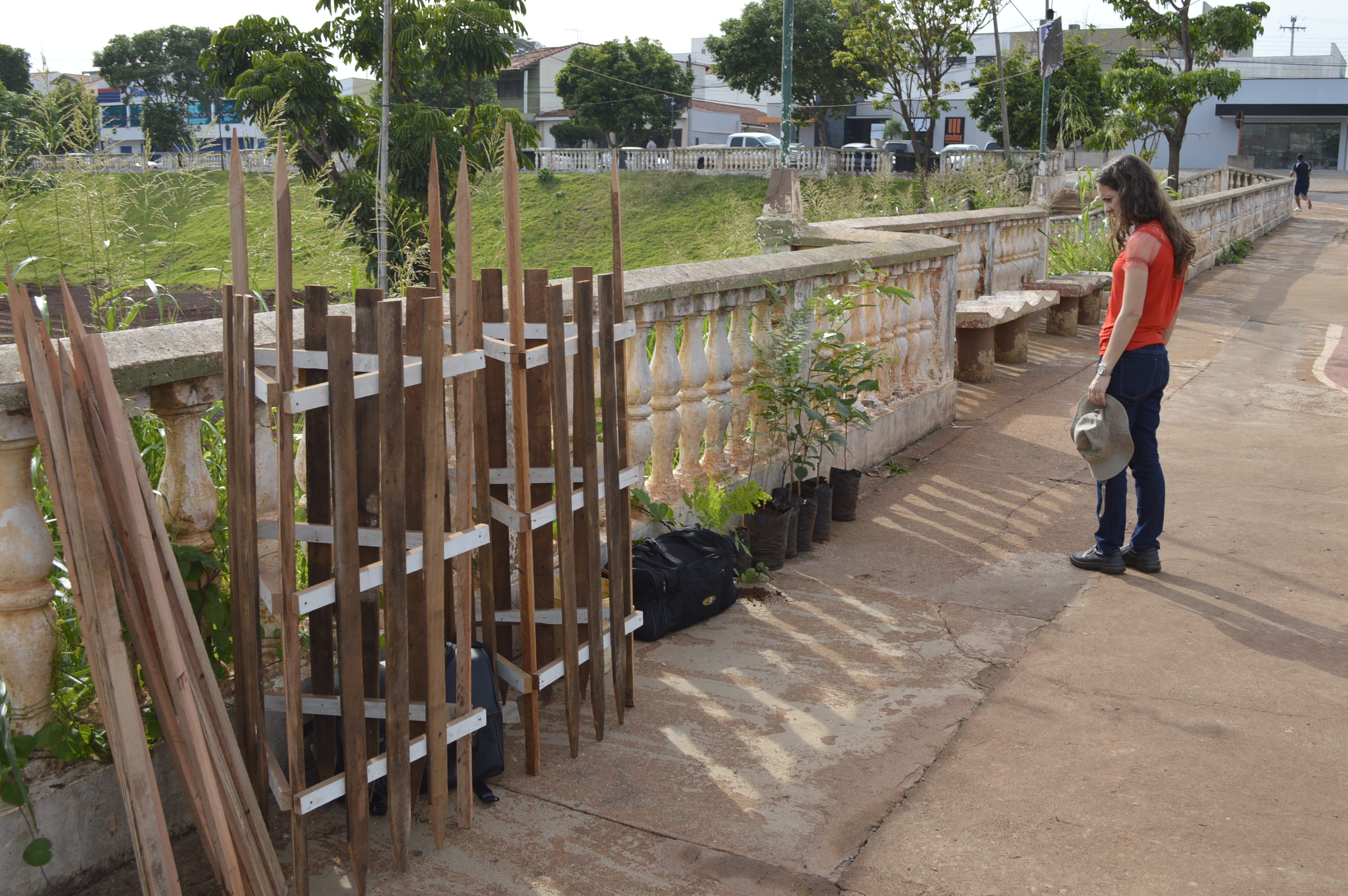 Lago do Silvério ganha novas árvores
