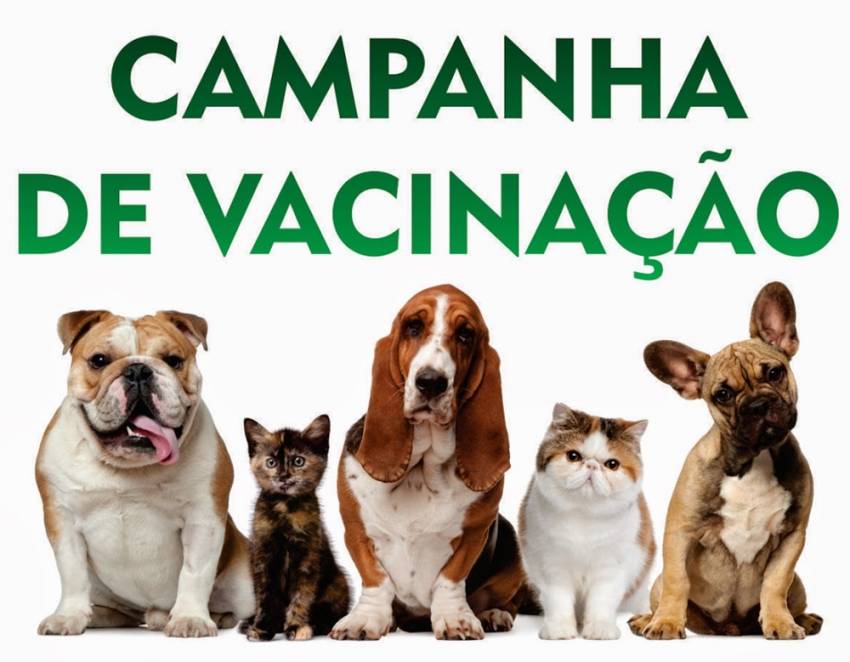 Campanha de Vacinação Antirrábica 2018: início na zona urbana