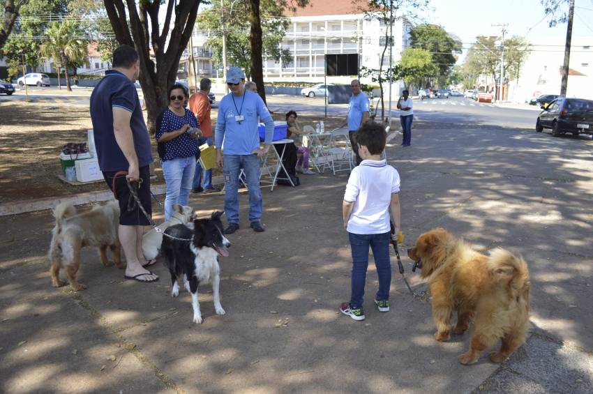 Campanha de Vacinação Antirrábica 2018: encerramento na zona urbana