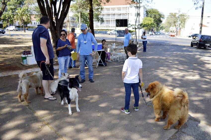 Vacinação Anti-Rábica 2018: mais de 16 mil animais vacinados