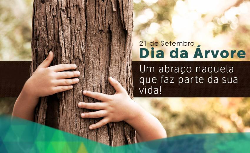 Dia da árvore é comemorado com palestras e atividades