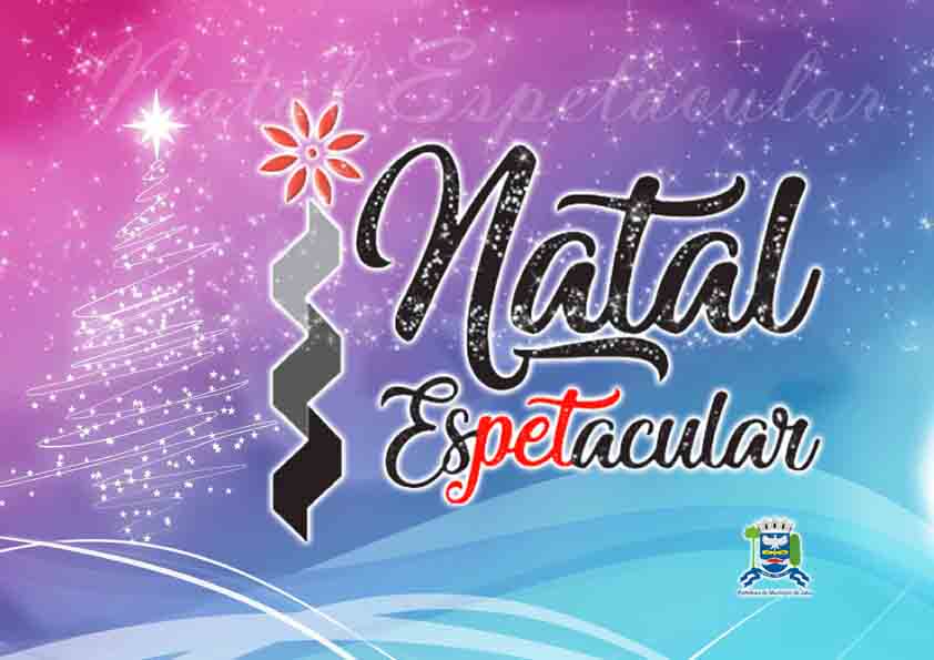 Fundo Social de Solidariedade e Secretaria de Cultura e Turismo inauguram Árvore do Projeto “Natal Espetacular”