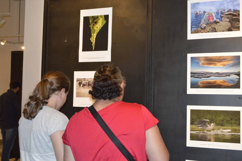 Exposição Photo Nature Internacional: visitação orientada por monitor