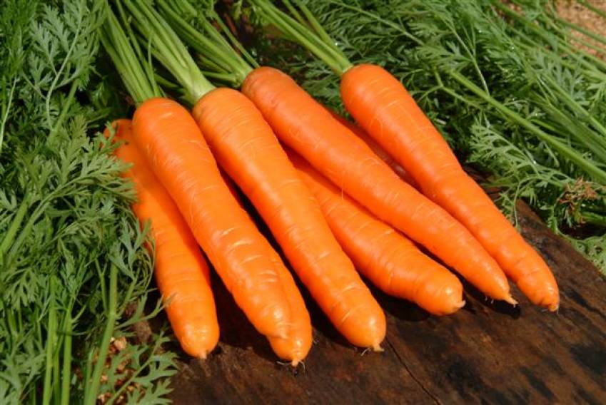 Hortas Municipais: produtos à venda nesta terça-feira, 29/01