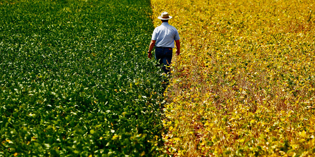 Conselho Municipal de Desenvolvimento Econômico realiza 1º Encontro de Integração Agro de Jahu e Região