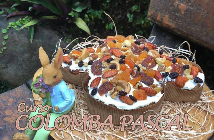 Fundo Social de Solidariedade abre inscrições para curso de Colomba Pascal
