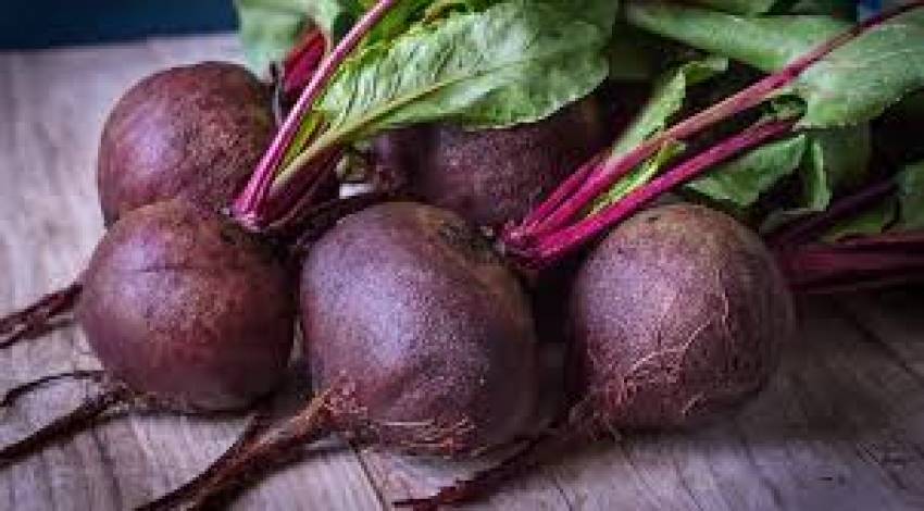Produtos à vendas nas hortas municipais em 07/05