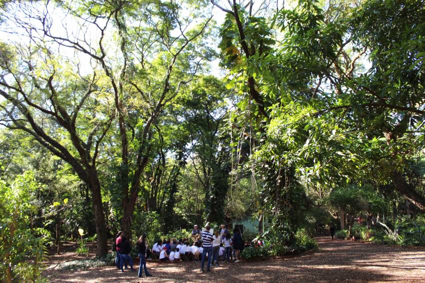 Semana do Meio Ambiente 2019: 