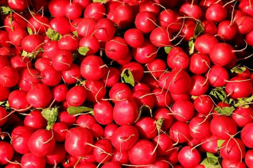 Produtos disponíveis para venda nesta terça-feira, 30/07, nas hortas municipais.