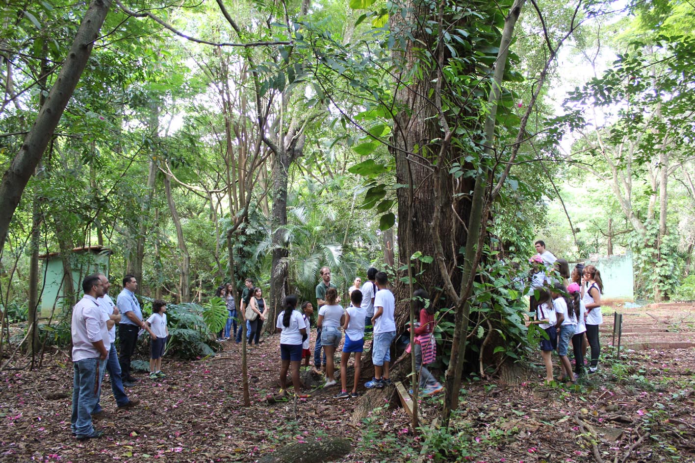 Centro de Educação Ambiental - Horto Florestal Municipal realiza visita agendada