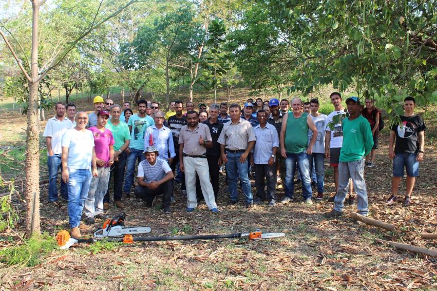 Secretaria de Meio Ambiente oferece Curso de Formação de Podadores - FOTOS