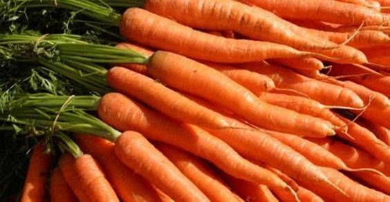 Produtos disponíveis para venda nesta terça-feira, 17/09, nas hortas municipais.