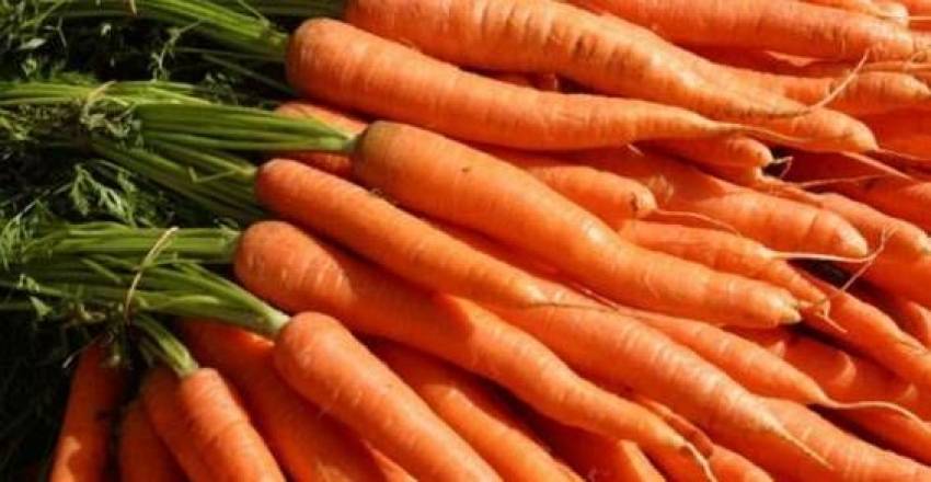Produtos disponíveis para venda nesta terça-feira, 17/09, nas hortas municipais.